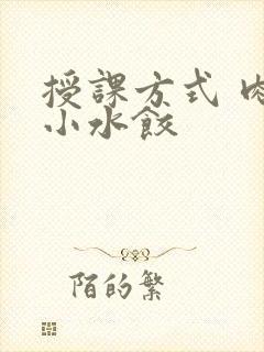 授课方式 肉馅小水饺