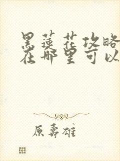 黑莲花攻略手册在哪里可以免费阅读