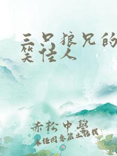 三只狼兄的宠妻笑佳人