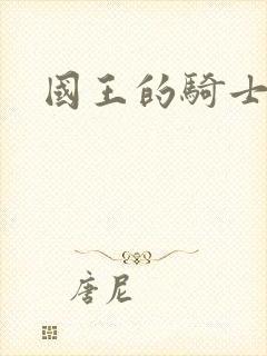 国王的骑士