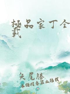 极品家丁全集下载