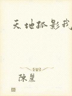 天地孤影我独行