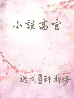 小说高官
