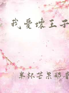我爱坏王子