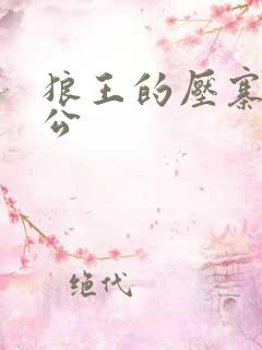 狼王的压寨小相公