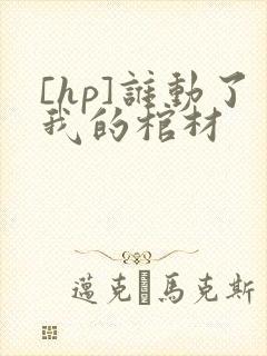 [hp]谁动了我的棺材