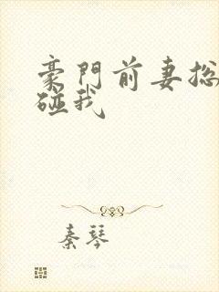 豪门前妻总裁别碰我