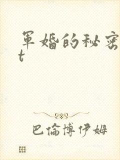 军婚的秘密txt