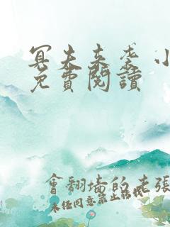 冥夫来袭 小说免费阅读