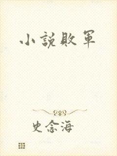 小说败军