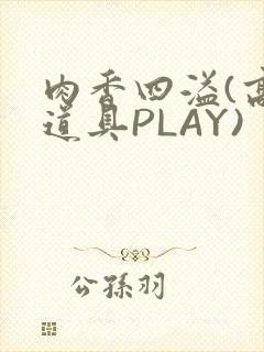 肉香四溢(高H道具PLAY)