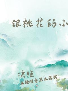 银桃花的小说