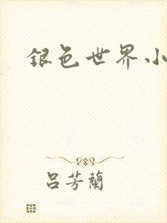 银色世界小说