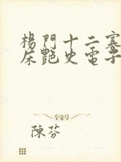 杨门十二寡妇肉床艳史电子书