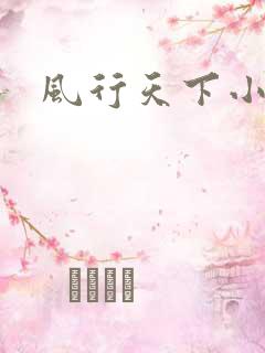 风行天下小说