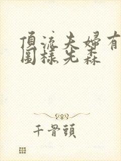 顶流夫妇有点甜图样先森