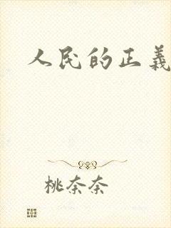 人民的正义小说