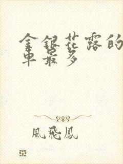 金银花露的哪个车最多