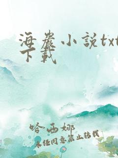 海岩小说txt下载