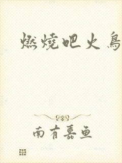 燃烧吧火鸟小说