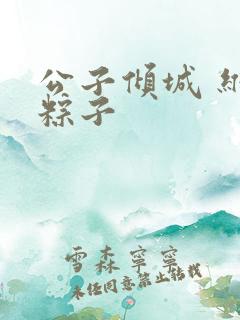 公子倾城 维和粽子