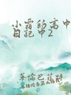 小霜的高中成长日记中2