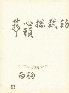 花心总裁的小小丫头