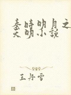 秦时明月之夜尽天明小说