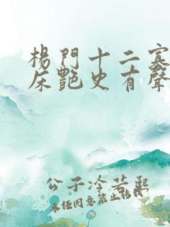 杨门十二寡妇肉床艳史有声小说