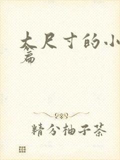 大尺寸的小说短篇