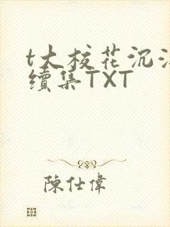 t大校花沉浮录续集TXT