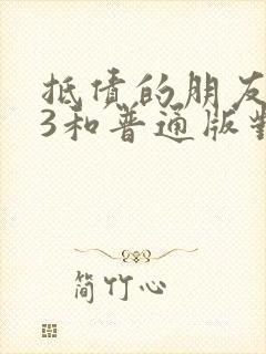 抵债的朋友麦子3和普通版对比