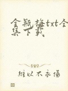 金瓶梅txt全集下载