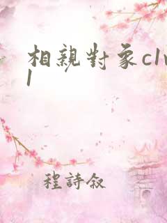 相亲对象c1v1