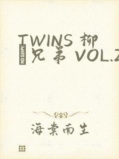 TWINS 柳澤兄弟 VOL.2