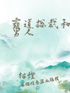 霸道总裁和他的男人