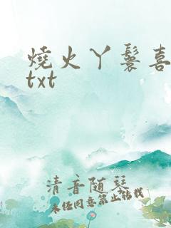 烧火丫鬟喜洋洋txt