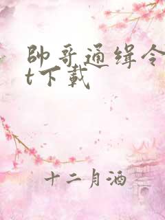 帅哥通缉令txt下载