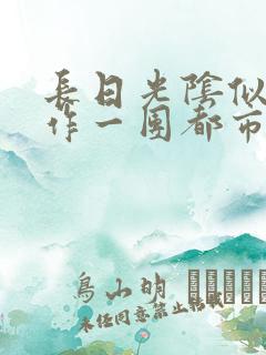 长日光阴似箭乱作一团都市言情