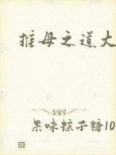 推母之道大结局