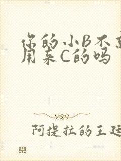 你的小B不就是用来C的吗