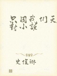 只因我们天生一对小说