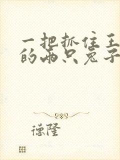 一把抓住王昭君的两只兔子