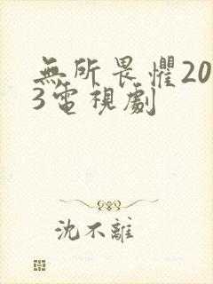 无所畏惧2023电视剧