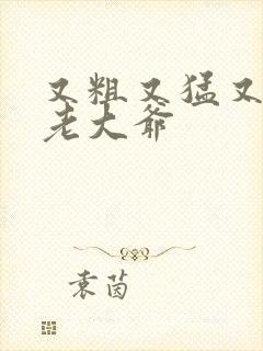 又粗又猛又大爽老大爷