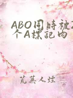 ABO同时被2个A标记肉