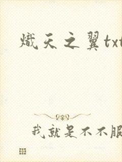 炽天之翼txt
