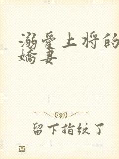 溺爱上将的宝贝娇妻