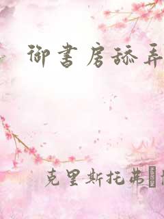 御书房舔弄花心