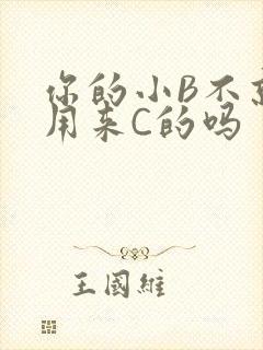 你的小B不就是用来C的吗